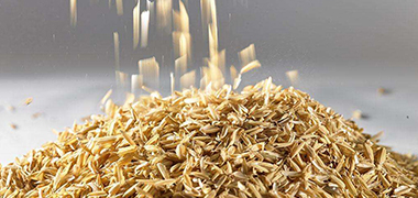 制藥行業(yè)